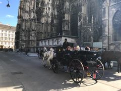 -斯蒂芬主教座堂(Stephansdom)
