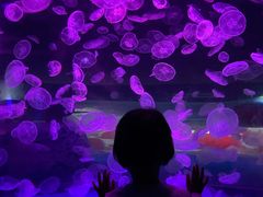 -江和美海洋公园