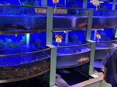 -七欣天香辣蟹火锅(南京建宁路大观天地店)