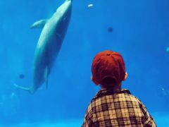 -华夏文旅海洋公园