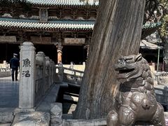 -晋祠公园