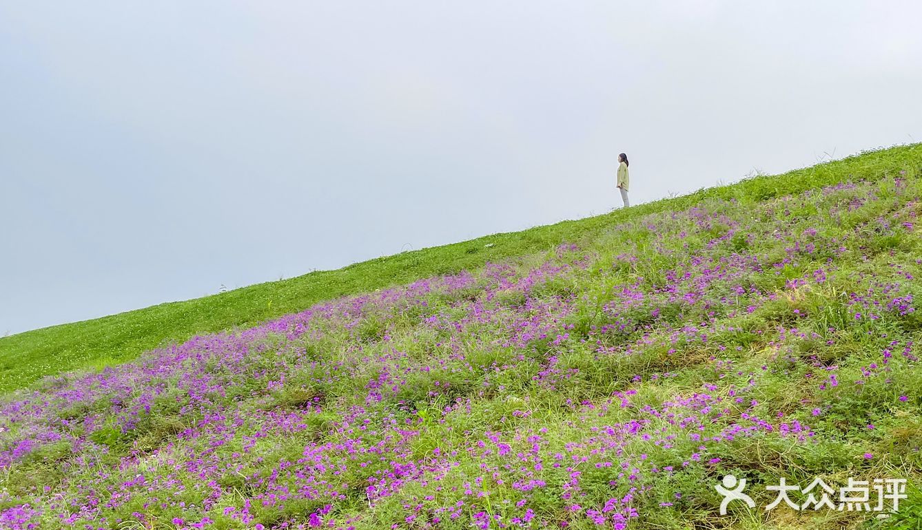 成都旅游｜这里拍照很出片