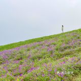 成都旅游｜这里拍照很出片