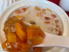 -鸿达渔港