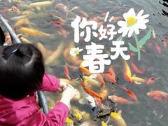 -石家庄市植物园