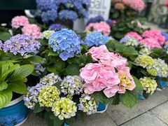 -比斯特上海购物村精品奥特莱斯