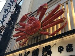 -蟹道乐(道顿堀本店)