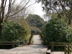 -新江湾城公园