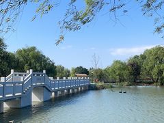 -长兴太湖图影湿地文化园