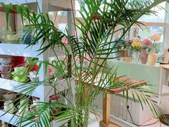 -NLFS1983咖啡花园餐厅(锦桂店)