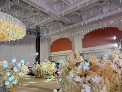 点击看大图 -白金汉爵大酒店·宴会厅