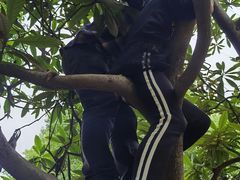 -塘栖枇杷特色园区