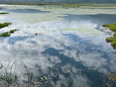 -腾冲北海湿地