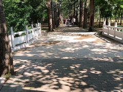 -廊坊市自然公园