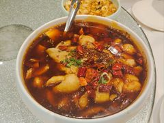 -峨嵋一派