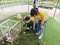 -前小桔亲子创意农场·草莓采摘·露营烧烤