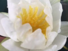 -春会馆(茂名北路店)