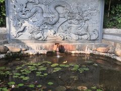 -深圳龙潭公园