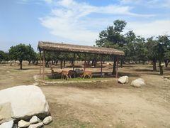 -西安秦岭野生动物园