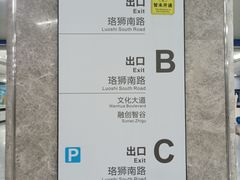-野芷湖(地铁站)