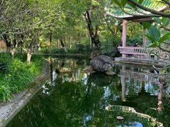 -名树园