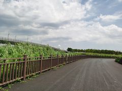 -上海滴水湖皇冠假日酒店