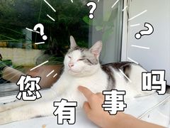 -北京市海淀区翠微小学