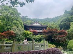 -十八棵（老龙井）御茶园(老龙井店)