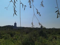 -永定河休闲森林公园