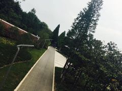 -昆山城市生态森林公园