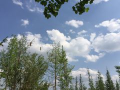 -白鹭湾湿地公园