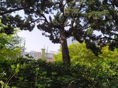 -嘉定紫藤园