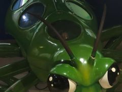 -上海昆虫博物馆