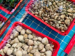 -鼓浪屿内厝澳码头(轮渡站)
