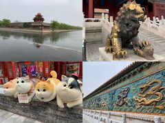 -故宫博物院(故宫)