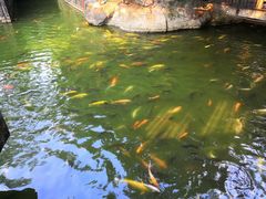 -珠海圆明新园