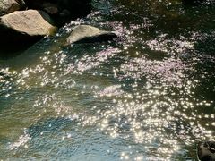 -广州白江湖森林公园