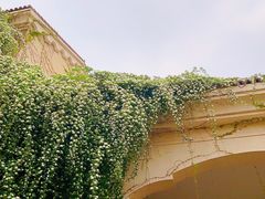 -府河摄影公园