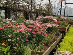 -冰冰龙虾·江湖菜·花园江景餐厅