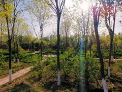 -东郊湿地公园