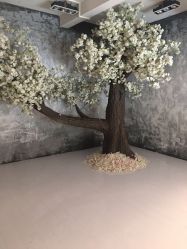 -玛瑞莎·儿童·亲子摄影(越秀店)