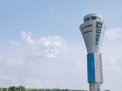 -合肥新桥国际机场-航站楼