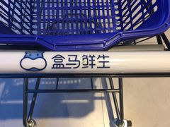-盒马鲜生(大成店)