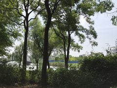 -上海海事大学(临港校区)