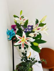 -WENDY·温迪皮肤管理