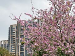 -文华公园(禅城区)