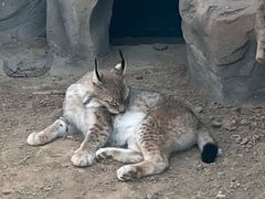 -青藏高原野生动物园