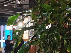 -盐帮食坊•小河帮川菜(四川师大店)