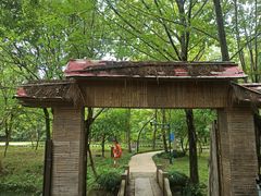 -西溪国家湿地公园