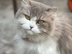 -老屋咖啡